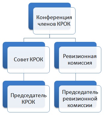 Структура городской общественной организации